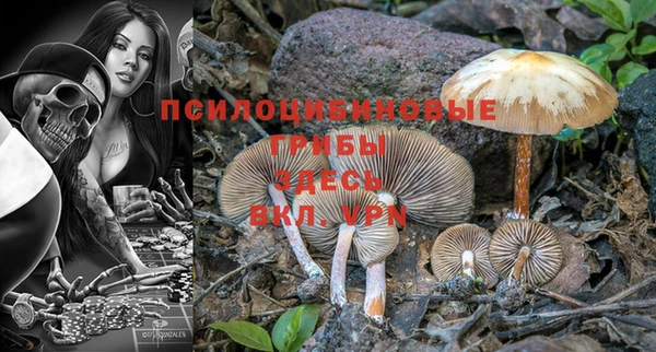 Альфа ПВП Армянск