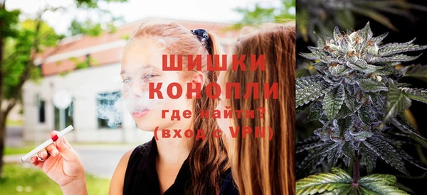 дурь Арсеньев
