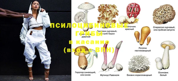 дурь Арсеньев