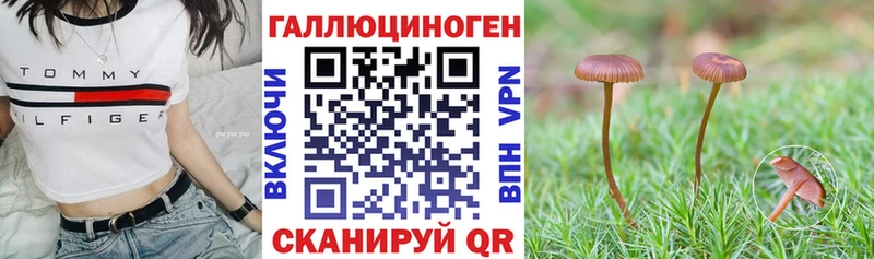купить наркотик  МЕГА ссылки  Псилоцибиновые грибы MAGIC MUSHROOMS  Урай 